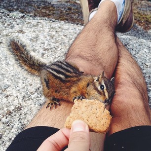 Probably shouldn't have shared my oat biscuit with this little guy, but he kept jumping on me...