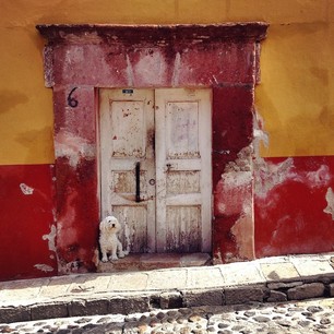 This dog knows how to work it!!! He was actually sitting on the sidewalk beside the door but when I took out my iPod he got up and sat right there & made the picture perfect!!! Cute door with a cute dog. #sanmigueldeallende #sma #mexico #travel #backpacking #mashpics #lonelyplanet #dog #puppy #door