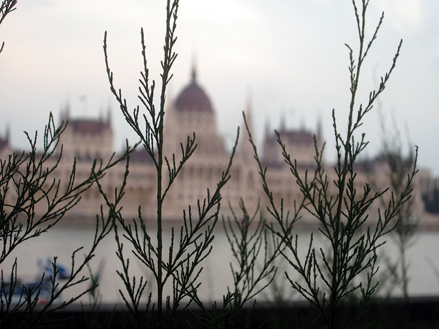 budapest-parliament